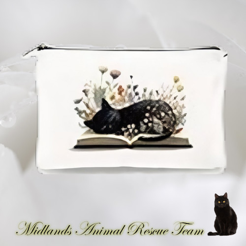 Cat themed make - make, up