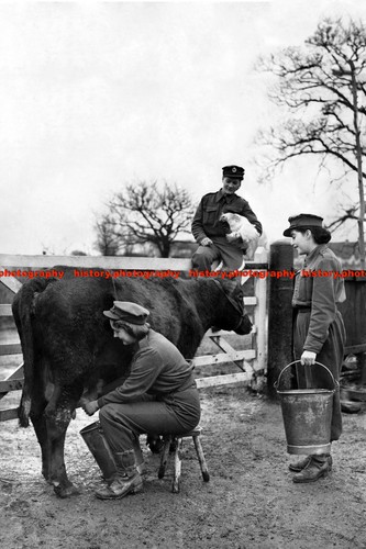 F009894 ats girls - girls, ww2
