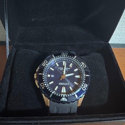 Citizen promaster bn0196 01l - promaster, bn0196-01l