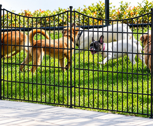 Metal garden fence with - 10,