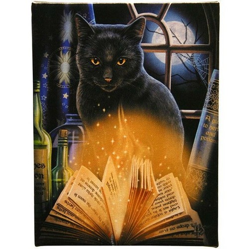 Bewitched lisa parker canvas - bewitched,