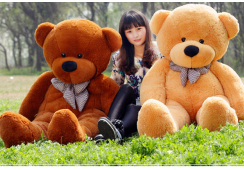 Large teddy bear giant - giant,