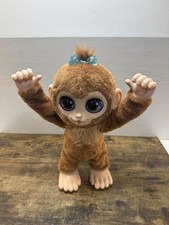 Peanut The Playful Monkey
