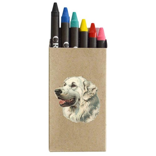 Pyrenean mountain dog - mountain, dog'