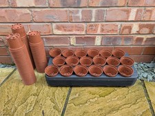 6 Sets of Used 8.5cm Plant