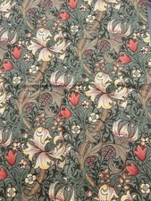 Sanderson Golden Lily Minor