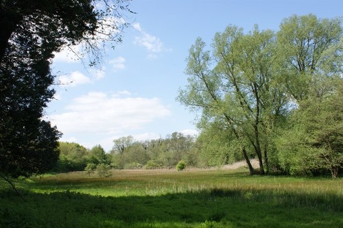 Photo 6x4 fen - and, pasture