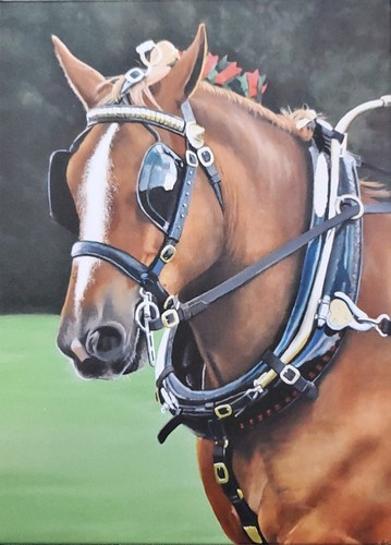 Suffolk punch horse - suffolk,