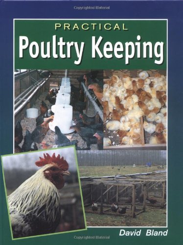 Practical poultry keeping - practical, by