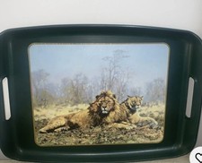 Tony Forrest Lion Picture On