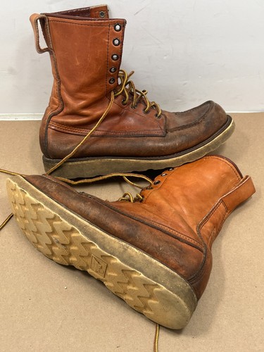 Red wing irish - wing, setter