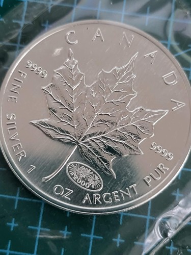 2000 1oz canadian - maple, leaf