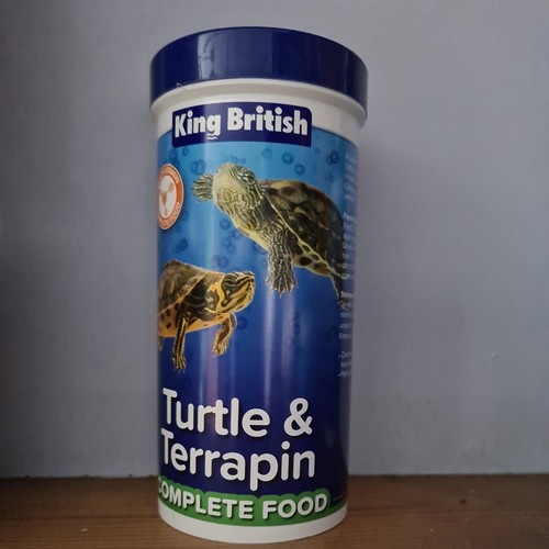 King british turtle and - turtle,