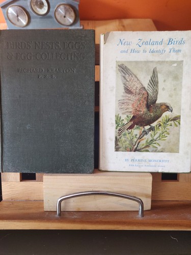Vintage 1916 bird - vintage, books