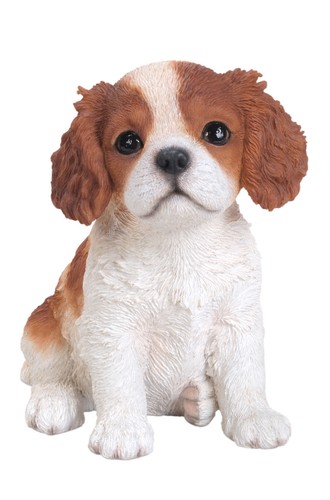 Vivid arts pet pal - pet, king