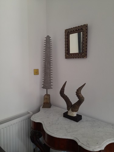 Taxidermy hartebeest stag - hartebeest,
