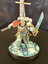 Warhammer 40k Army Space Marines Space Wolves Captain Pro Painted