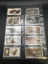 Antique Cigarette Cards Job