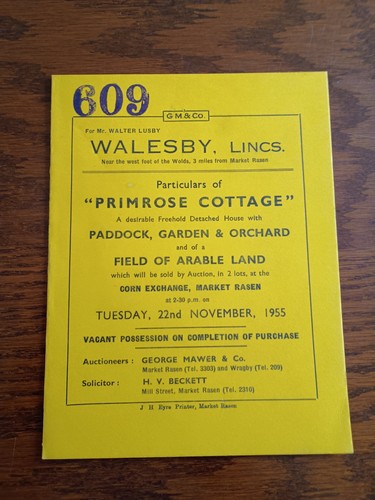 Lincolnshire primrose - lincolnshire.,
