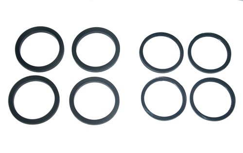 Front brake caliper seals for