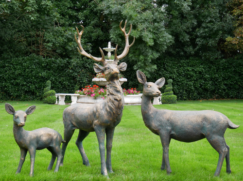 Majestic stag family garden - stag,