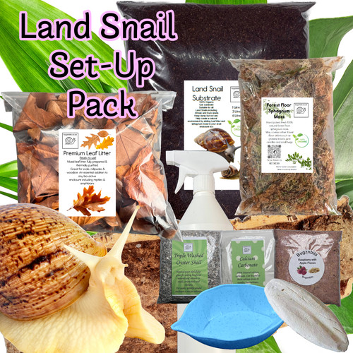 Giant african land snail - giant,
