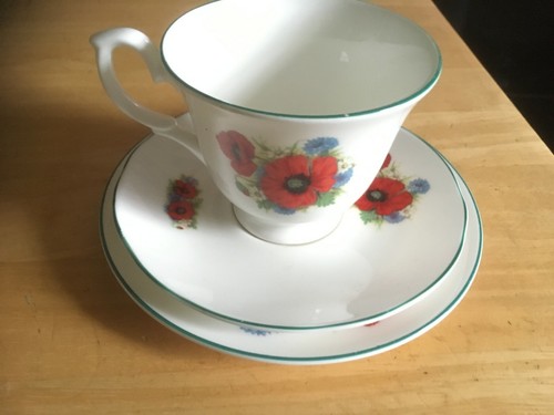 Fine bone china one trio - bone,