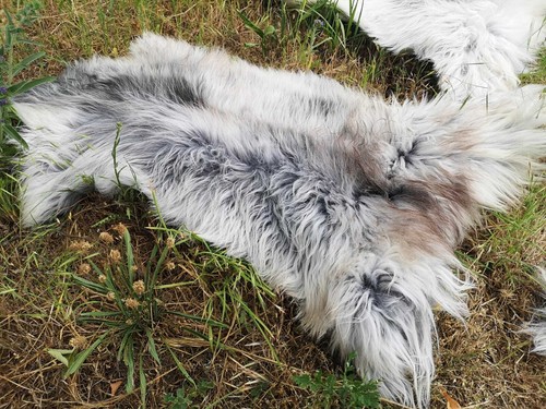Swedish eco lace - lace, fur