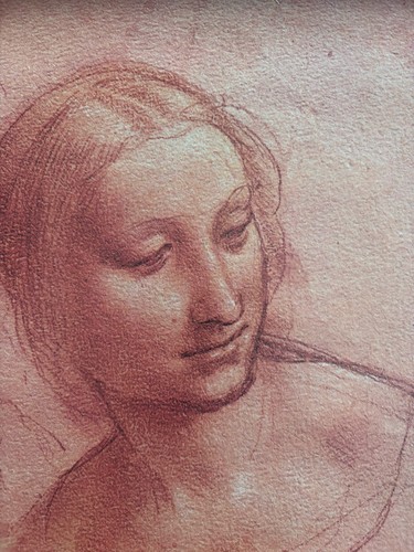 Leonardo vinci high - da,