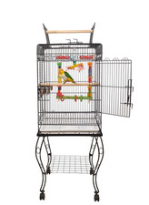 Liberta gama bird - liberta,