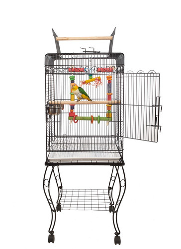 Liberta gama bird - liberta, bird/