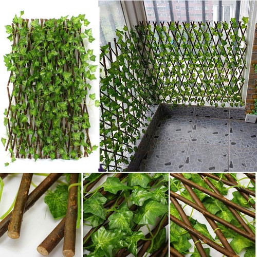 Garden screening trellis - 2m,