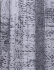 Hannelore Van Dijck - The