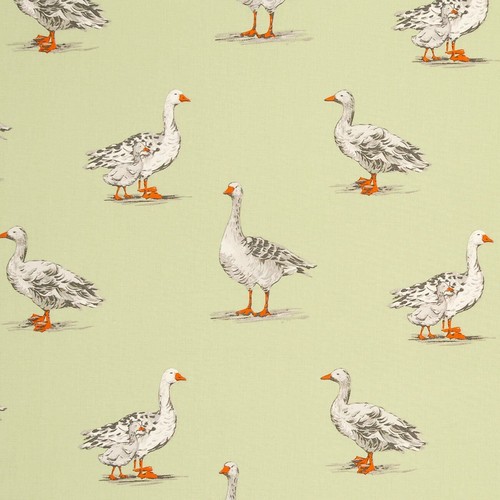 Clarke and - clarke, geese