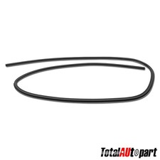 Window Windshield Weatherstrip