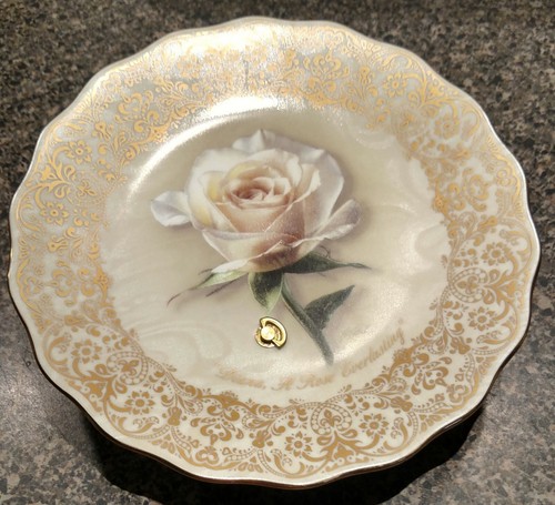 Princess diana rose - diana,