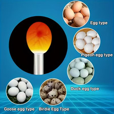Pigeon Egg Candler LED Light