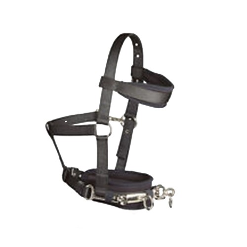 Lunge cavesson bz360 - hy,