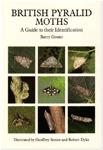 British pyralid moths - british,
