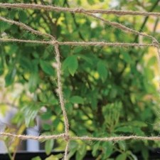 Jute netting string - jute,