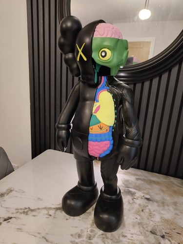 Kaws flayed open - open-,