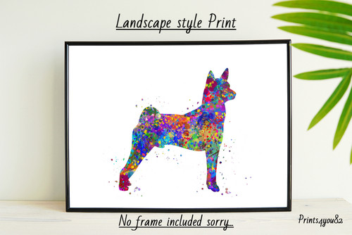 Basenji dog pet - basenji,