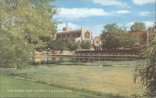 Vintage salmon postcard - vintage,