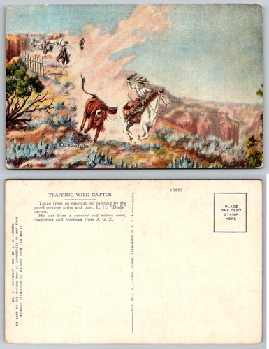 Trapping wild cattle cowboys - trapping,