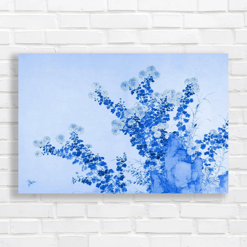 Chrysanthemum harmony blue - chrysanthemum,