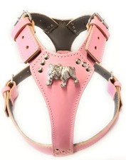 BEAUTIFUL BULLDOG LEATHER DOG