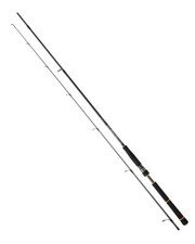 Daiwa BG Seabass Rod - Sea