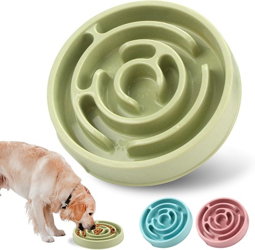 Dog bowl slow - dog, feeder