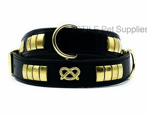 Leather studded dog - studded,
