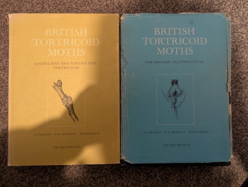 British tortricoid moths - tortricoid,